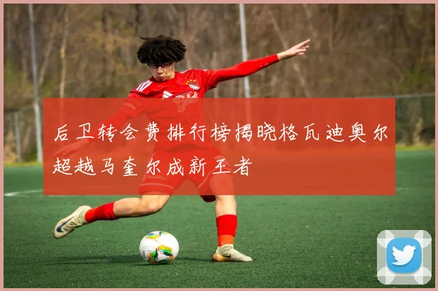 后卫转会费排行榜揭晓格瓦迪奥尔超越马奎尔成新王者